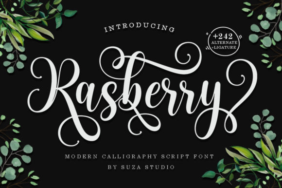 Rasberry: A Beautiful Font for Business