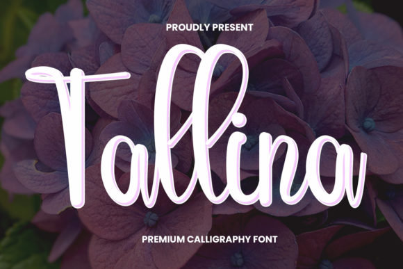 Tallina: A Sweet Script Font for Web Design